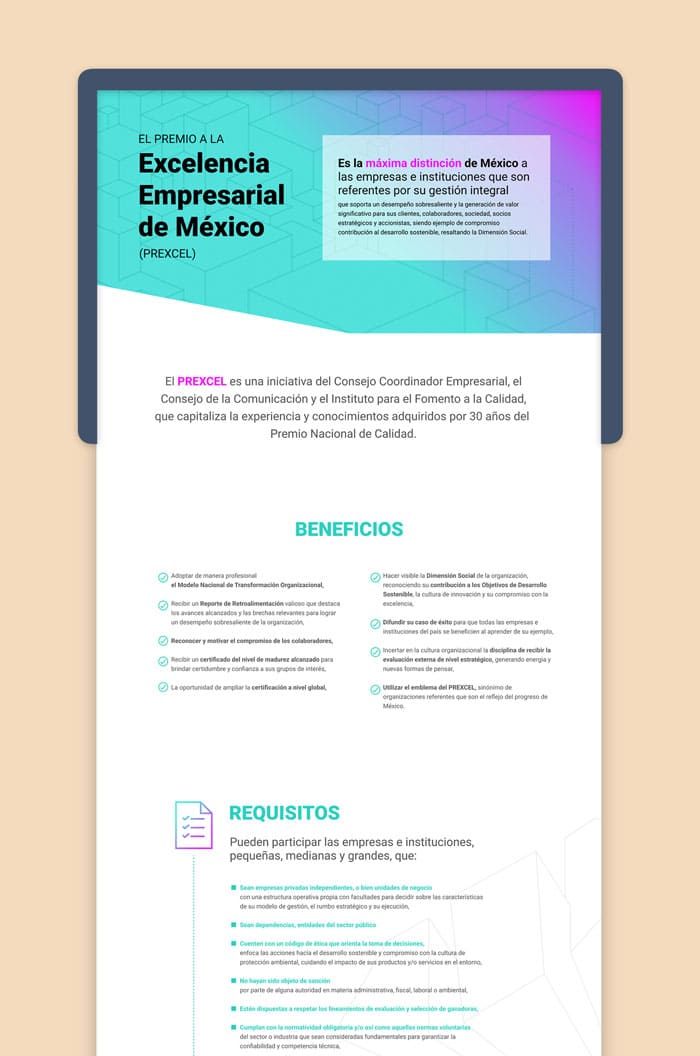 Web premio a la excelencia empresarial